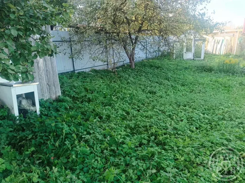 Участок в Ленинградская область, Лужский район, пос. Дзержинского, ... - Фото 2