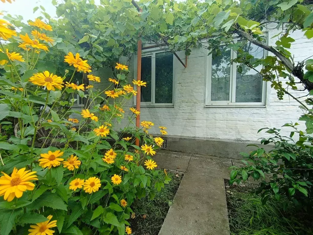 2-к. квартира, 37 м, 1/1 эт. - Фото 0