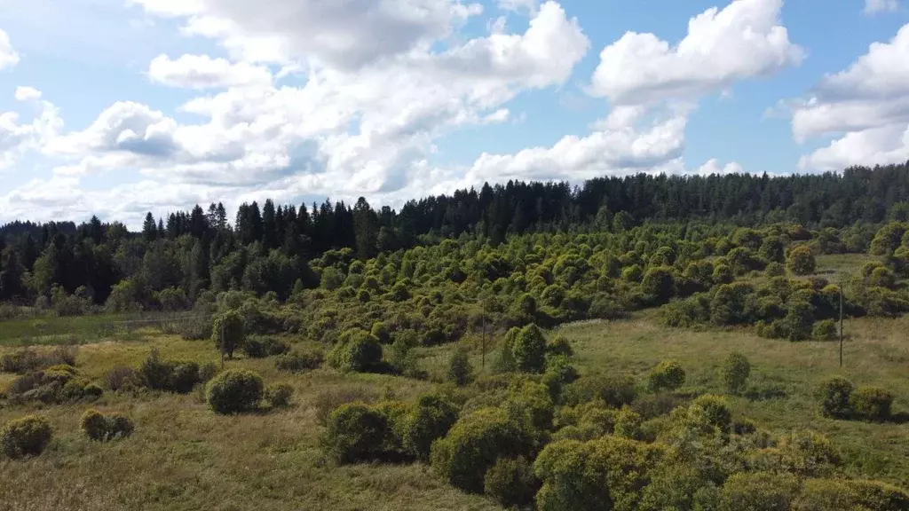 Участок в Карелия, Лахденпохский муниципальный округ, пос. Отсанлахти  ... - Фото 2