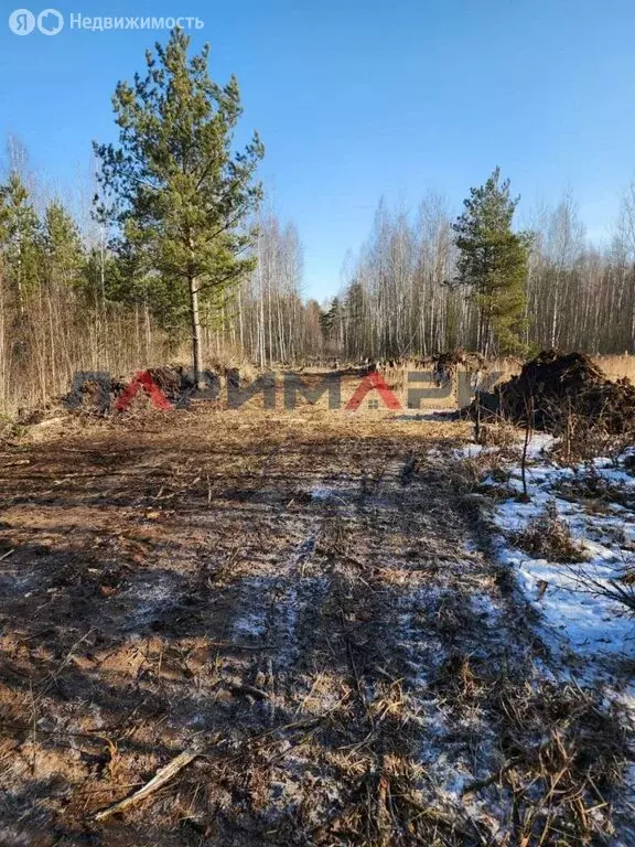 Участок в Богородский городской округ, СНТ Сокол, 17 (9 м) - Фото 1