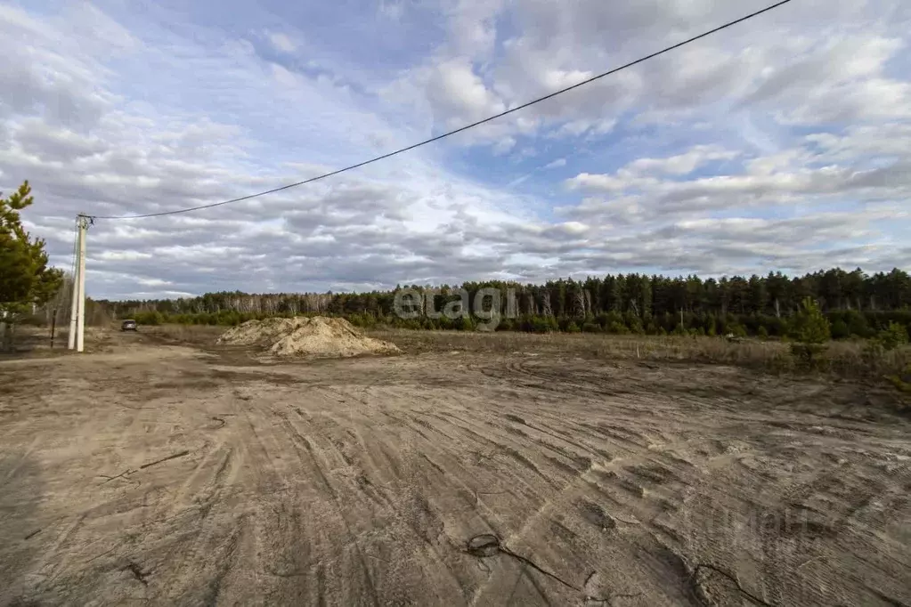 Участок в Тюменская область, Тюменский муниципальный округ, Серебряный ... - Фото 1