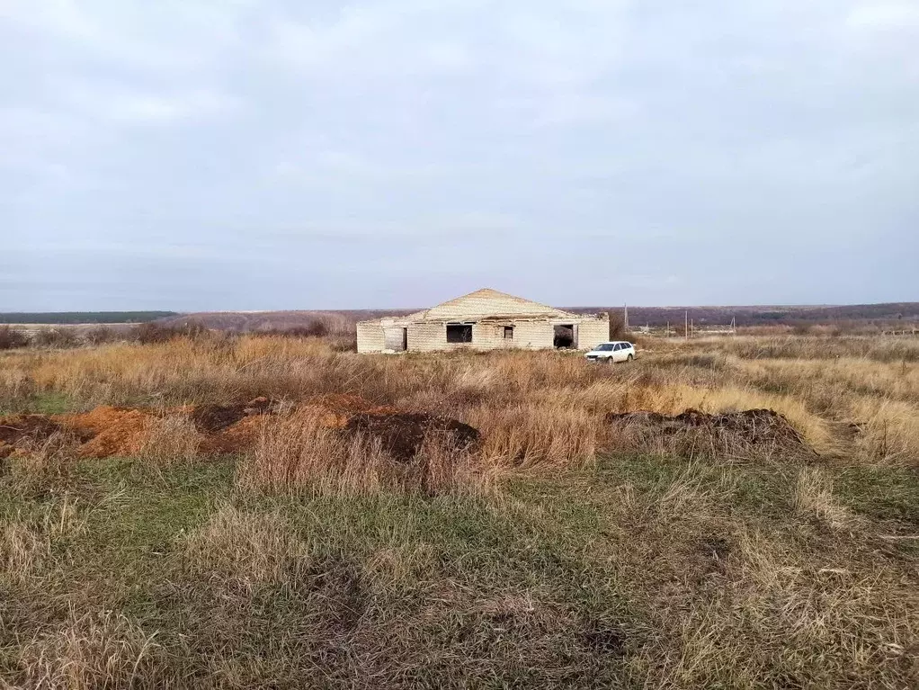 Участок в Самарская область, Челно-Вершинский район, Каменный Брод ... - Фото 2