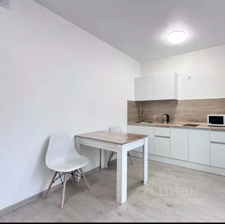 Студия Санкт-Петербург пос. Шушары, ул. Чудовская, 14к1 (24.0 м) - Фото 2