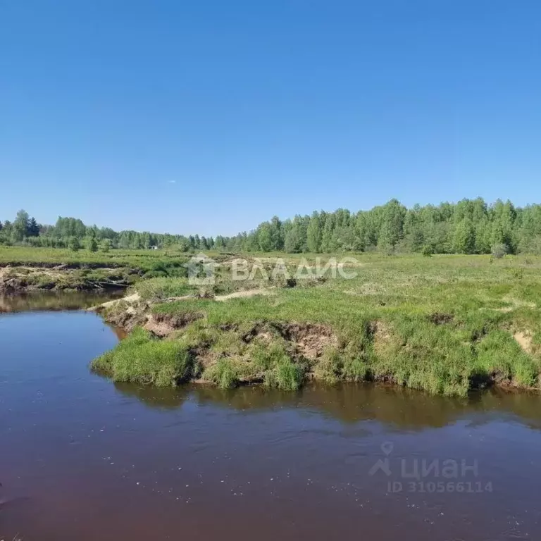 Участок в Владимирская область, Судогодский район, Лавровское ... - Фото 0