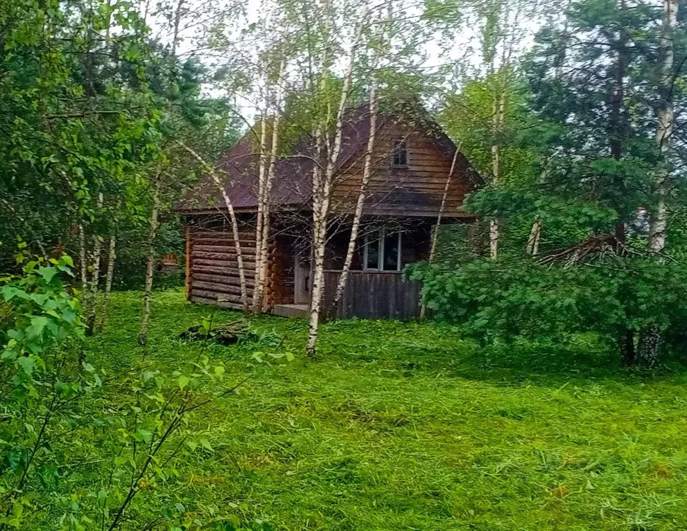 Участок в Московская область, Лотошино муниципальный округ, с. ... - Фото 2