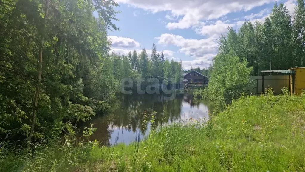 Участок в Ханты-Мансийский АО, Сургут Чернореченский садовое ... - Фото 1