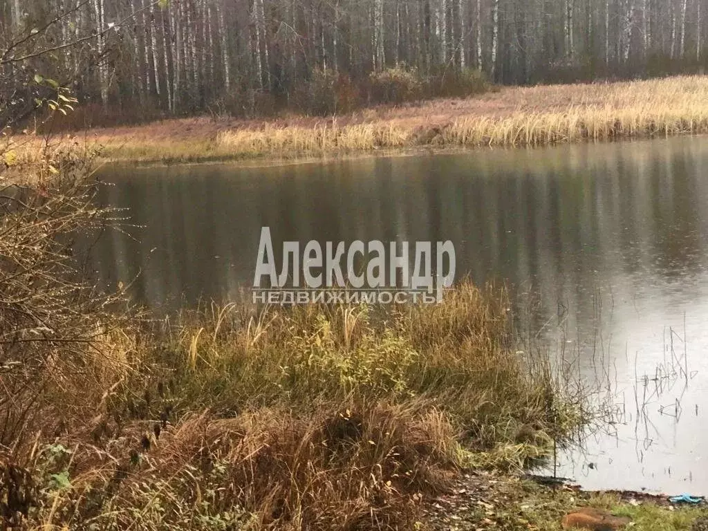 Участок в Ленинградская область, Выборгский район, Приморское ... - Фото 1