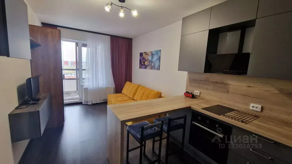 Студия Санкт-Петербург просп. Буденного, 23к6 (26.0 м) - Фото 1