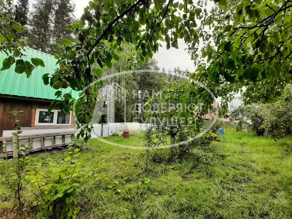 Коттедж в Удмуртия, Воткинский район, Гавриловка садовое дачное ... - Фото 1