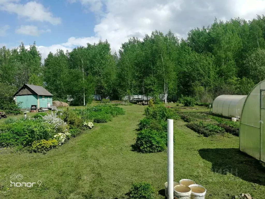 Участок в Новгородская область, Новгородский район, Ермолинское с/пос, ... - Фото 1