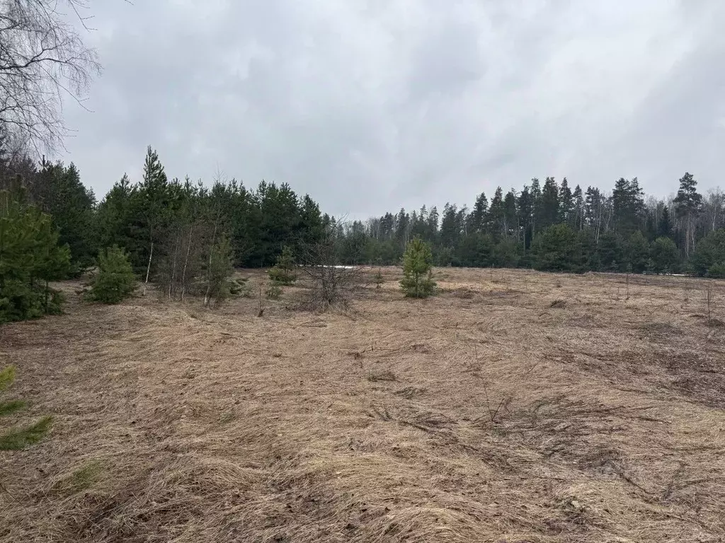 Участок в Московская область, Орехово-Зуевский городской округ, д. ... - Фото 1