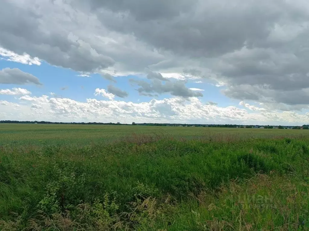 Участок в Ленинградская область, Всеволожский район, Колтушское ... - Фото 0