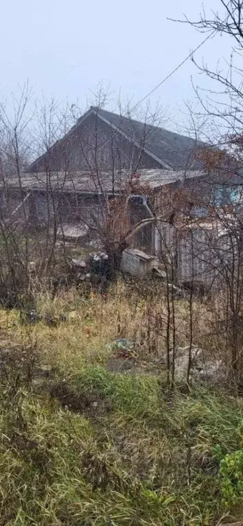 2-к кв. Курская область, Щигры ул. Репина, 10 (43.5 м) - Фото 2