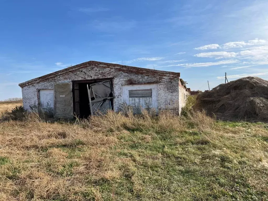 Помещение свободного назначения в Омская область, Таврический район, ... - Фото 1