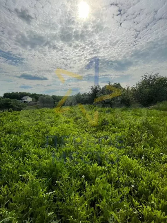 Дом 42,2 м на участке 27 сот. - Фото 1