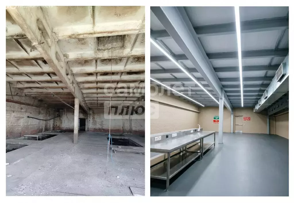 Помещение свободного назначения (65.5 м) - Фото 2