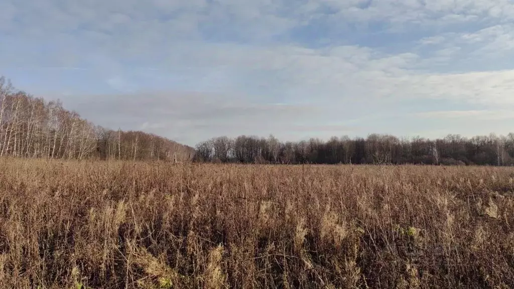 Участок в Московская область, Серебряные Пруды муниципальный округ, с. ... - Фото 1