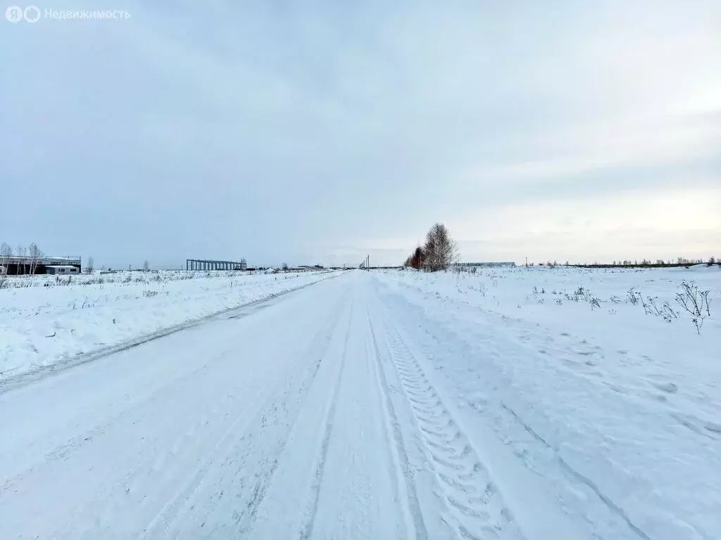 Участок в муниципальный округ Омский район, село Троицкое (64.11 м) - Фото 2