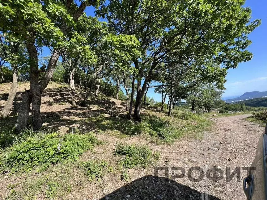 Участок в Крым, Алушта муниципальный округ, с. Лучистое  (5.0 сот.) - Фото 1