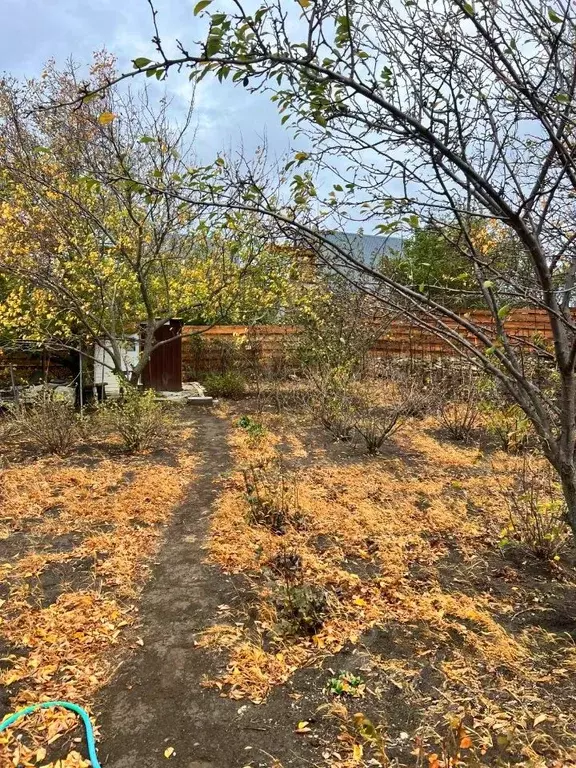 Участок в Московская область, Чехов муниципальный округ, с. Новоселки  ... - Фото 1