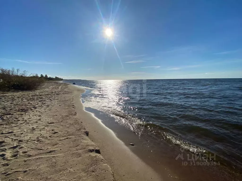 Участок в Псковская область, Гдов городское поселение, д. Луневщина  ... - Фото 1