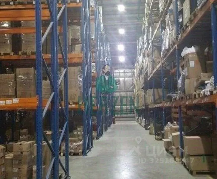 Склад в Московская область, Щелково Хотовская ул., 47 (9000 м) - Фото 2