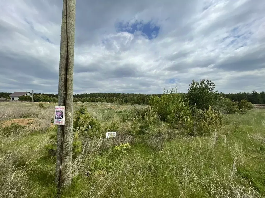 Участок в Свердловская область, Белоярский муниципальный округ, с. ... - Фото 2