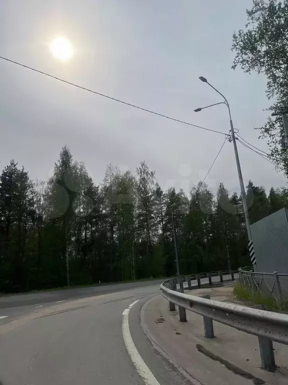 Участок 12 сот. (СНТ, ДНП) - Фото 1