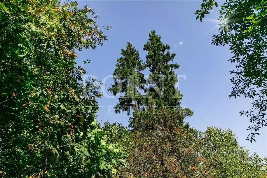 Участок в Московская область, Одинцовский городской округ, АОЗТ Грант ... - Фото 2