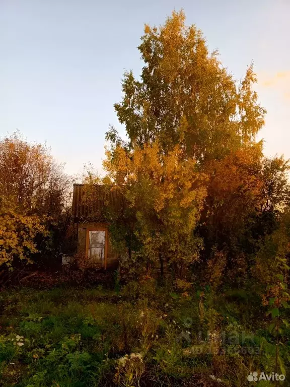 Дом в Башкортостан, Кушнаренковский район, Старокамышлинский ... - Фото 1