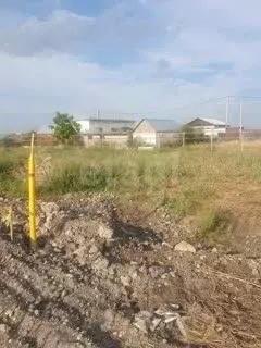 Участок в Ростовская область, Азовский район, Елизаветинское с/пос, ... - Фото 2