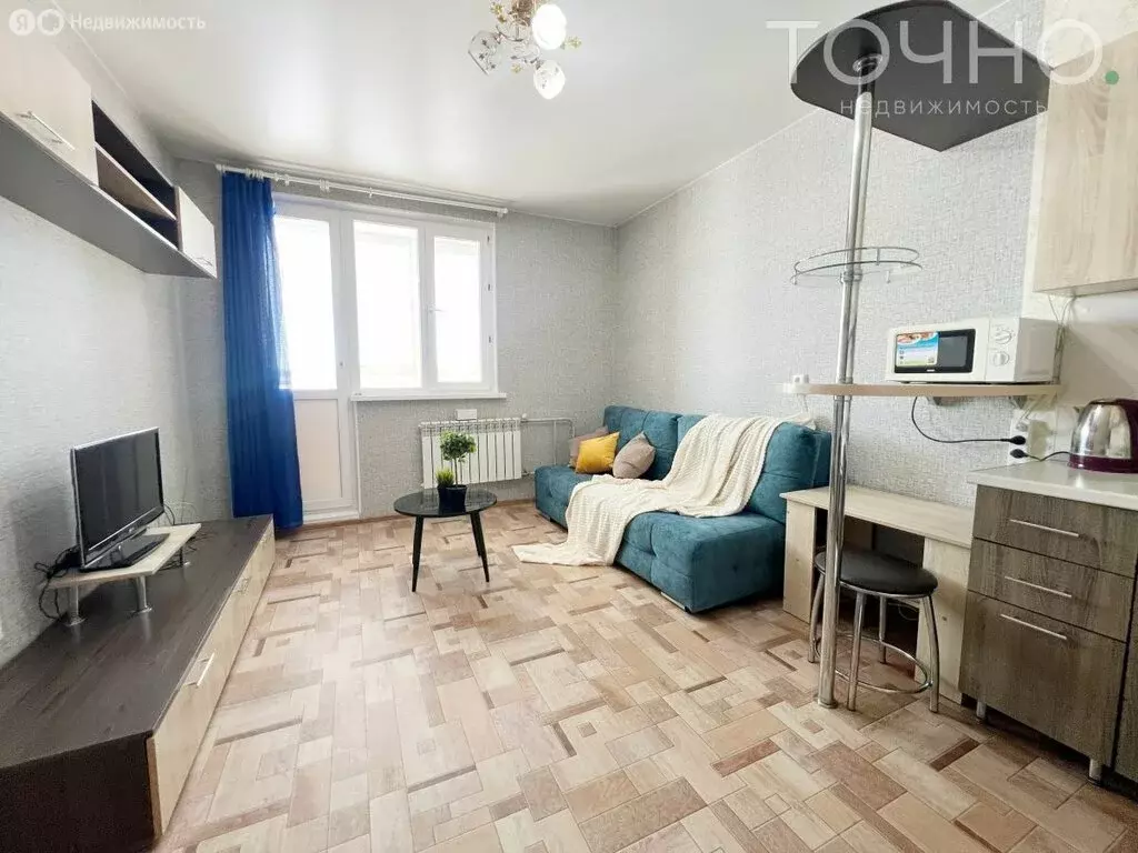 Квартира-студия: село Засечное, Олимпийская улица, 10 (28 м) - Фото 2