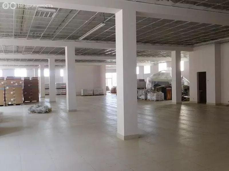 Помещение свободного назначения (1500 м) - Фото 2