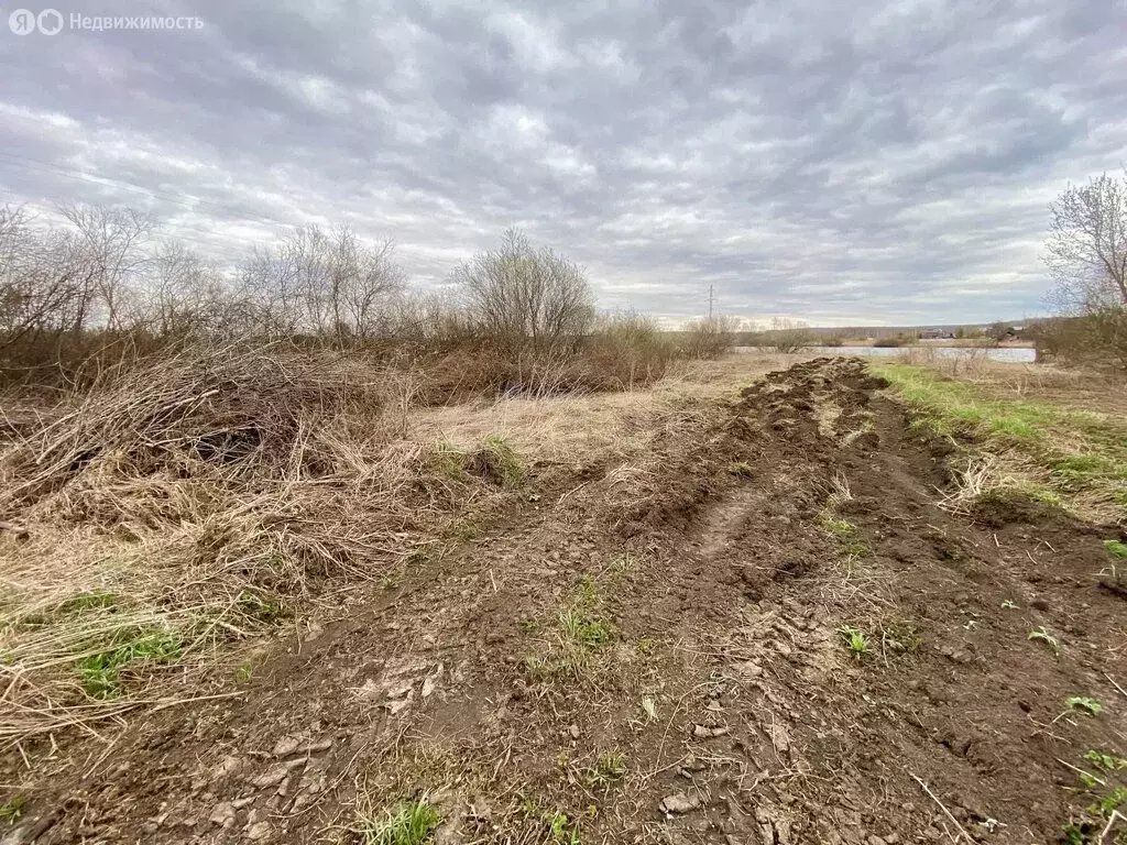 Участок в Челябинская область, Аргаяшский муниципальный округ, деревня ... - Фото 1