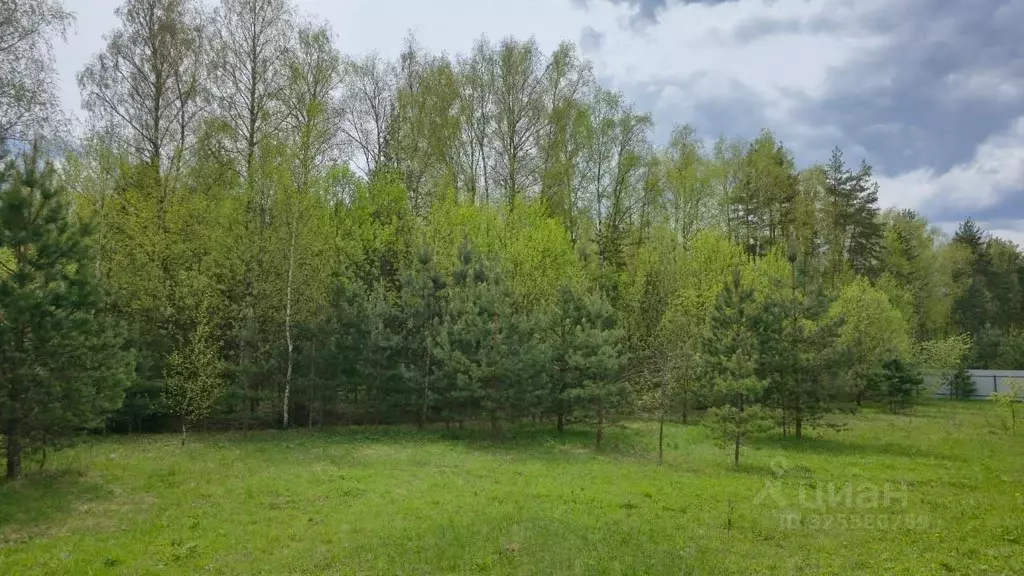 Участок в Московская область, Щелково городской округ, Орлово Вилладж ... - Фото 1