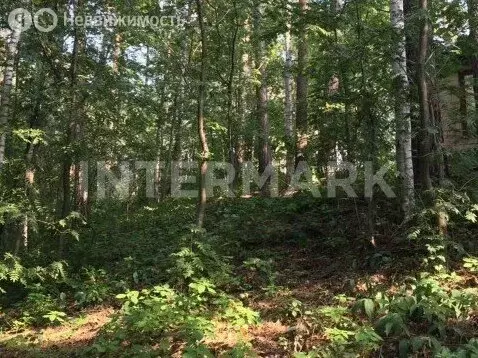 Участок в Одинцовский городской округ, посёлок Горки-2 (77 м) - Фото 1