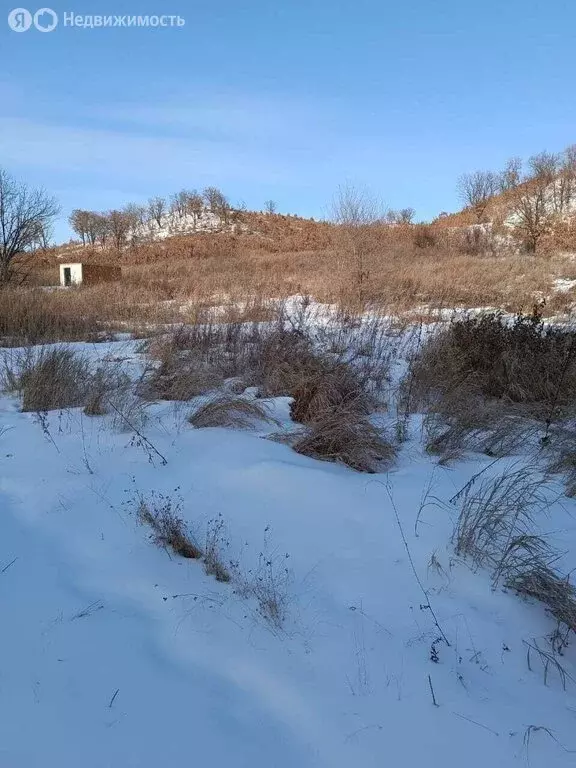 Участок в Благовещенск, посёлок Моховая Падь (5.2 м) - Фото 1