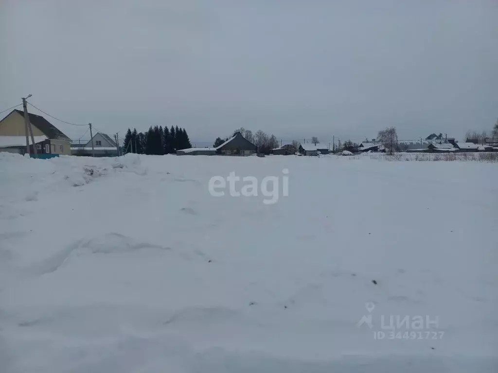 Участок в Тюменская область, с. Викулово ул. Свободы (10.0 сот.) - Фото 0