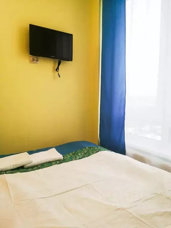 1-к кв. Нижегородская область, Нижний Новгород ул. Максима Горького, ... - Фото 1