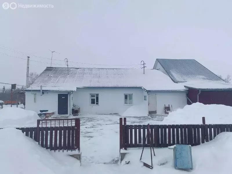 Помещение свободного назначения (265 м) - Фото 1