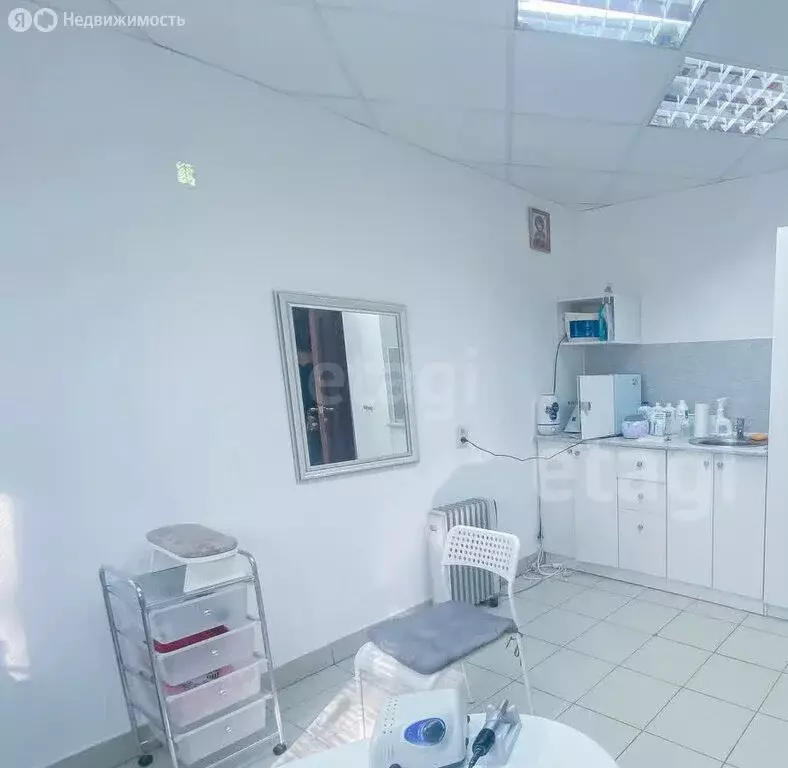 Помещение свободного назначения (13.5 м) - Фото 2