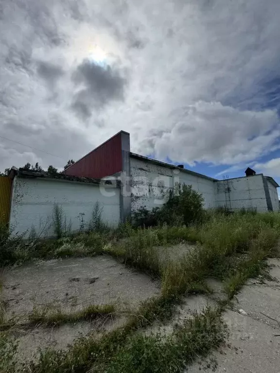 Склад в Сахалинская область, Южно-Сахалинск Украинская ул., 72 (1035 ... - Фото 1