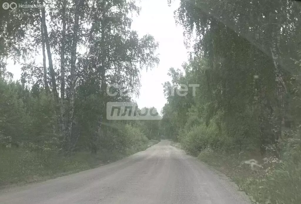 Участок в Челябинская область, Сосновский муниципальный округ, деревня ... - Фото 2