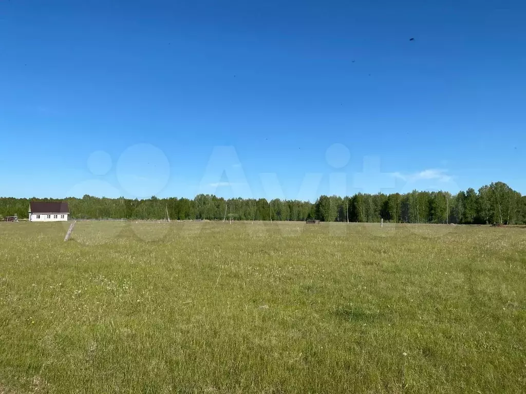 Участок 15 сот. (ИЖС) - Фото 1