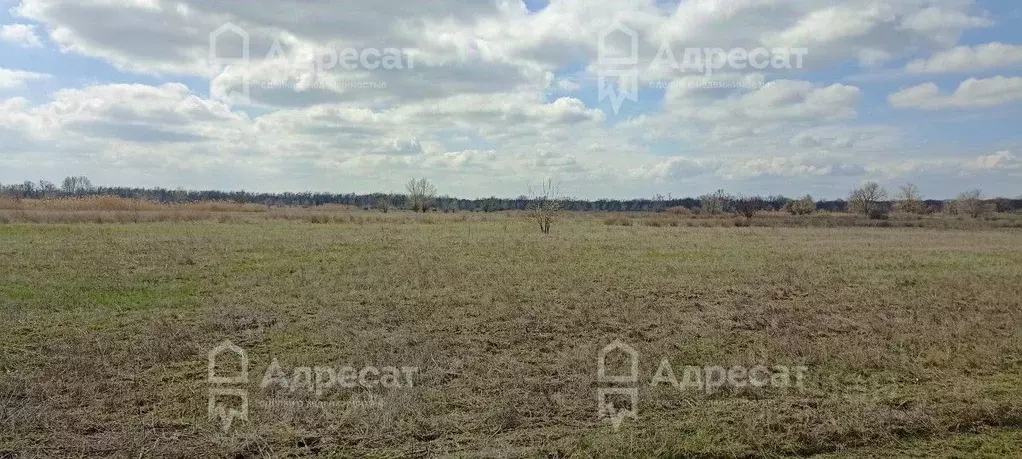 Участок в Волгоградская область, Среднеахтубинский район, Клетское ... - Фото 1