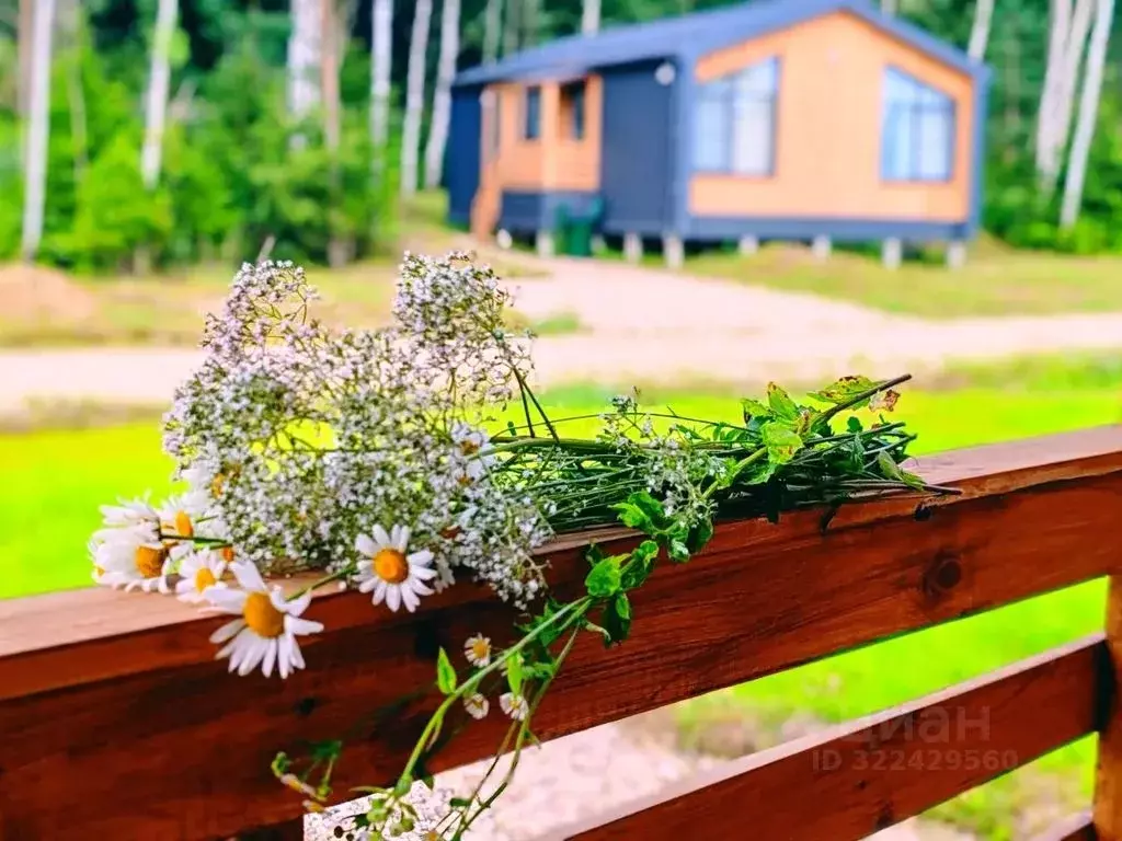 Дом в Московская область, Можайский муниципальный округ, Искона Парк ... - Фото 2
