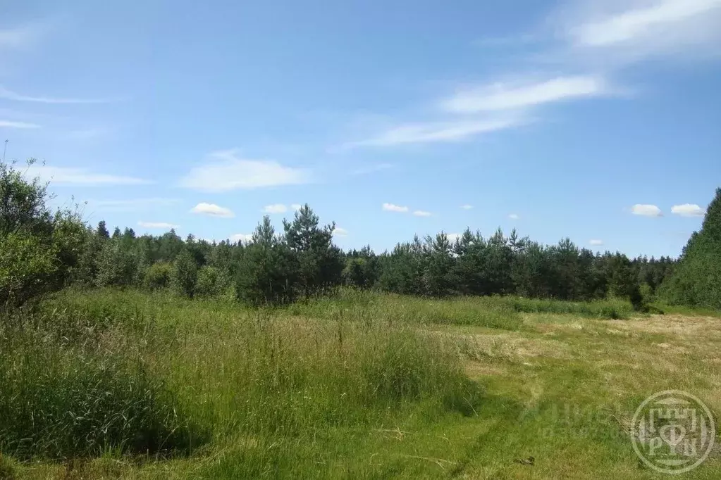 Участок в Ленинградская область, Выборгский район, Красносельское ... - Фото 0