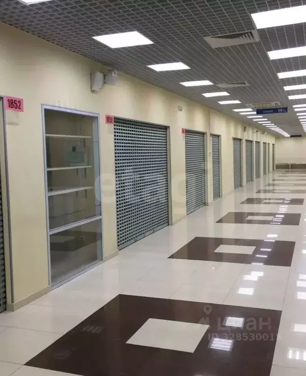 Помещение свободного назначения в Санкт-Петербург ул. Маршала ... - Фото 2