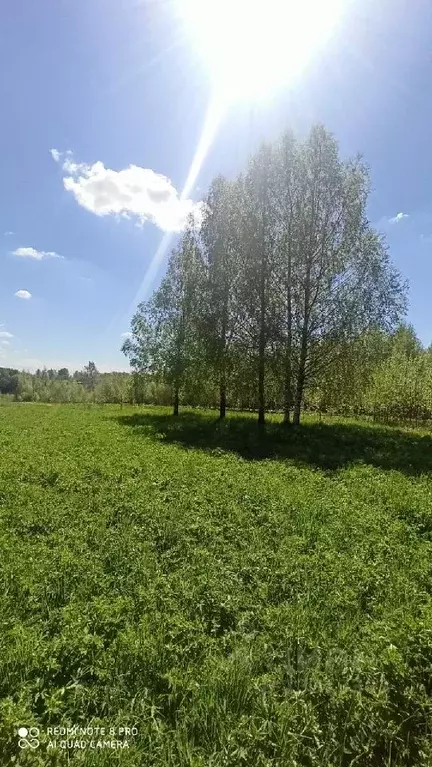 Участок в Вологодская область, Череповецкий район, Югское ... - Фото 0