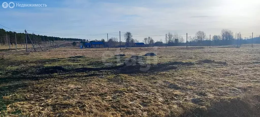 Участок в Первомайский район, СНТ Платоново, Платоновская улица (14.5 ... - Фото 2